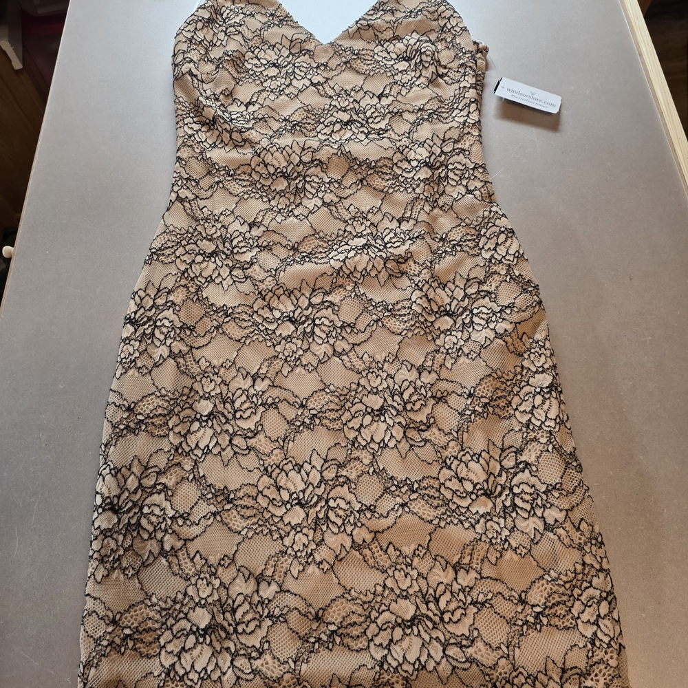 Windsor Dress Black Lace Overlay Bodycon Clubwear Minimalist